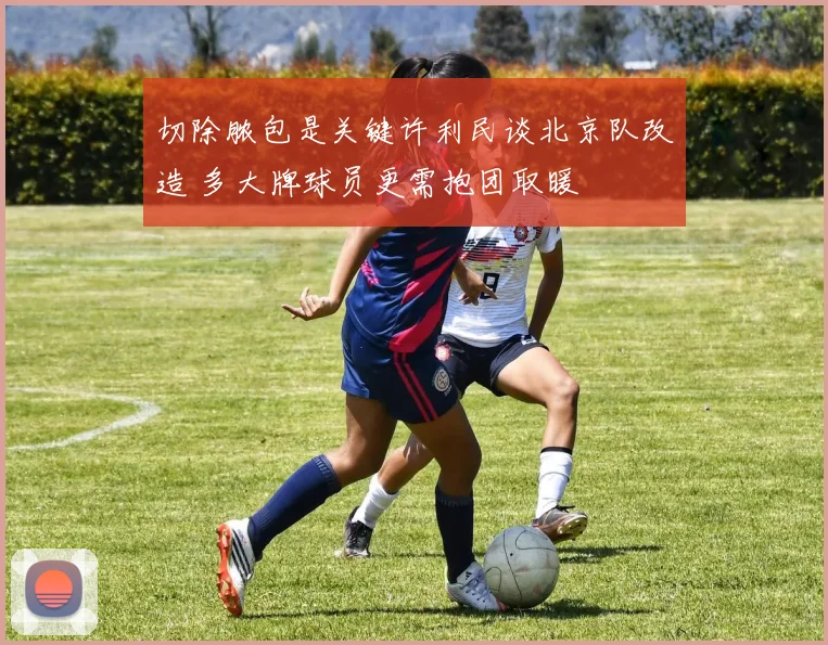 切除脓包是关键许利民谈北京队改造 多大牌球员更需抱团取暖